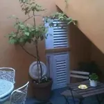 Отель Rex 3*