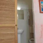 Отель Rex